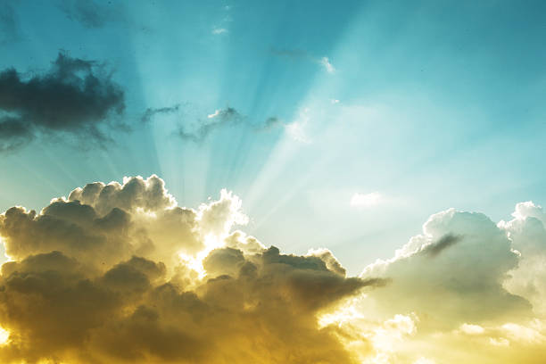 Weathering the Storm: Storm Cleanup as a Growth Opportunity for Southeast Landscaping Companies