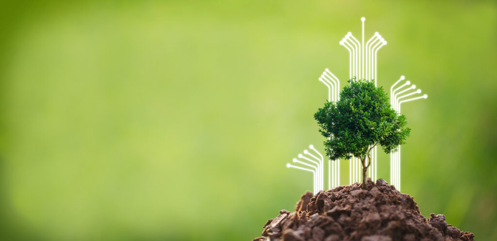 Strategic Spring Growth for Commercial Landscaping Companies in the Southeastern United States